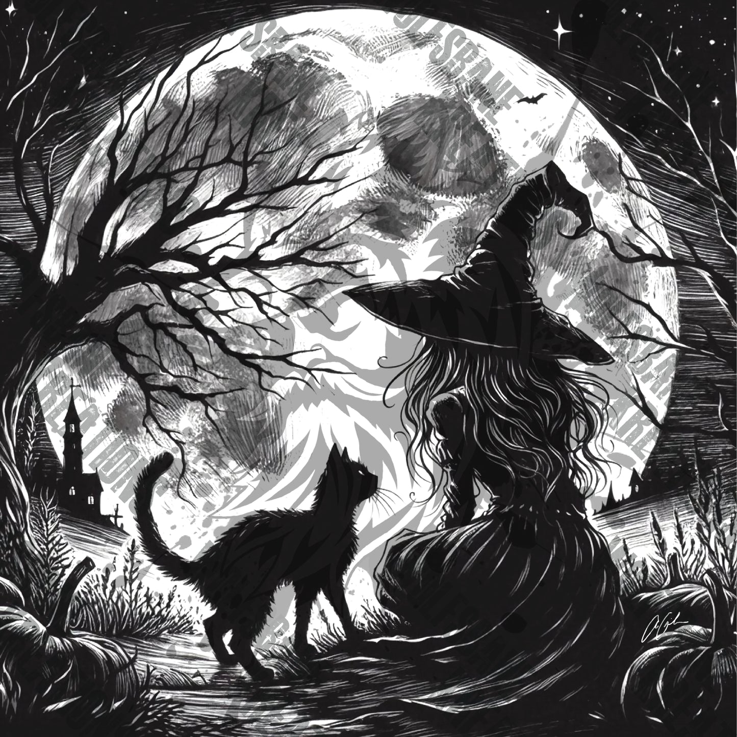 Witch and her Cat