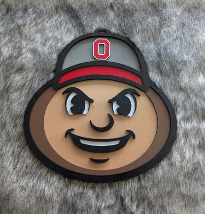 Ohio State Buckeyes