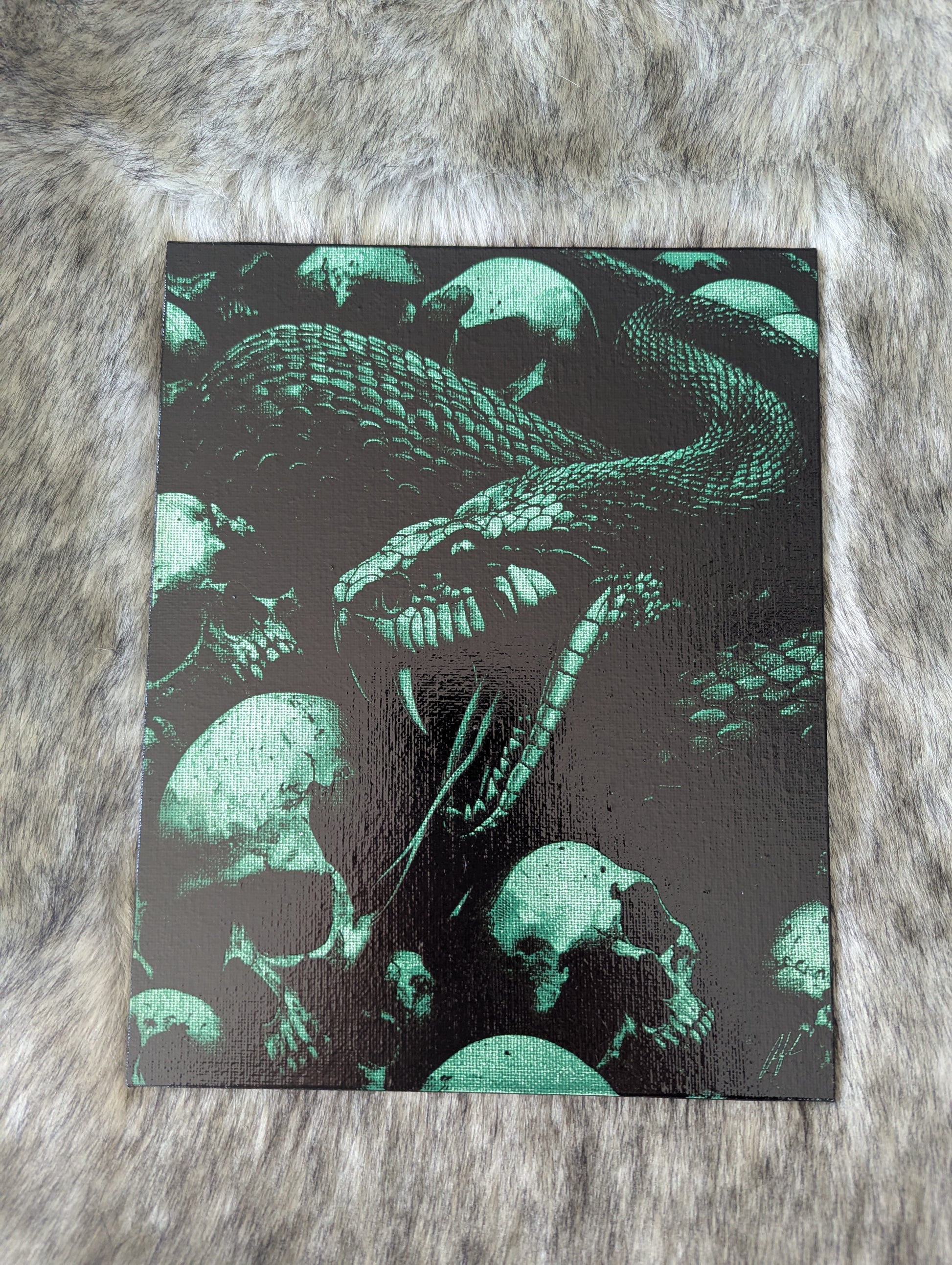Snake and Skulls