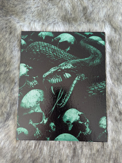 Snake and Skulls